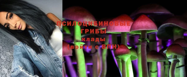 мдпв Бронницы