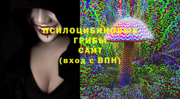 мдпв Бронницы