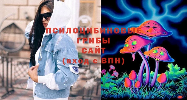 мдпв Бронницы